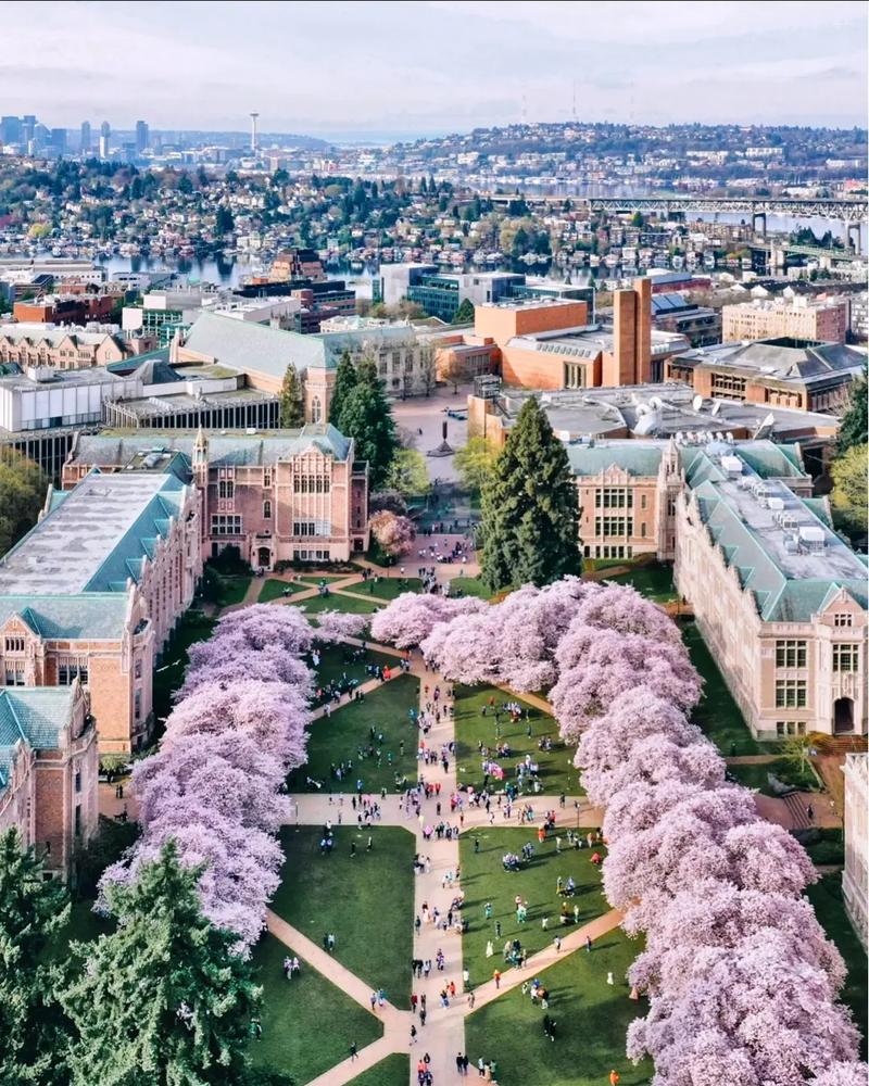 仁荷医科大学校